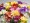 Garden Massing Freesias