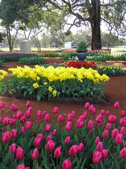 2005-open-garden-s-s.jpg