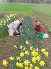 bronwyn-and-jane-07-002.jpg