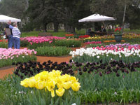 picture2-c.jpg