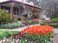 picture3-c.jpg
