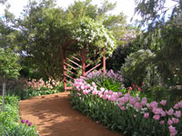 picture6-c.jpg