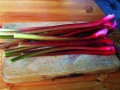 Victoria Rhubarb